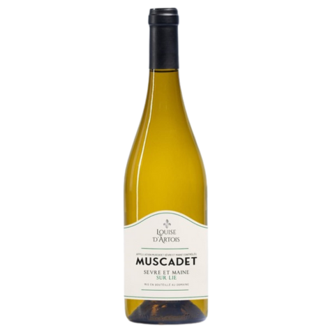 Muscadet Sur Lie, Louise Artois, Muscadet 2023 - 750/12