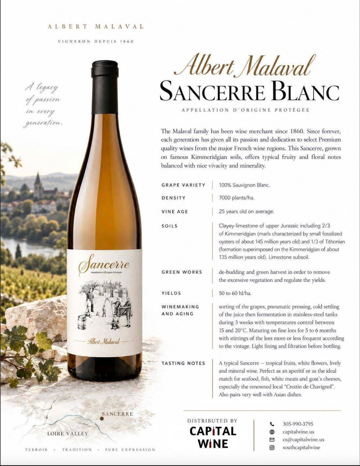 Sancerre Albert Malaval white