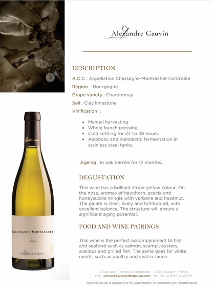 Chassagne Montrachet 2023 Alexandre Gauvin