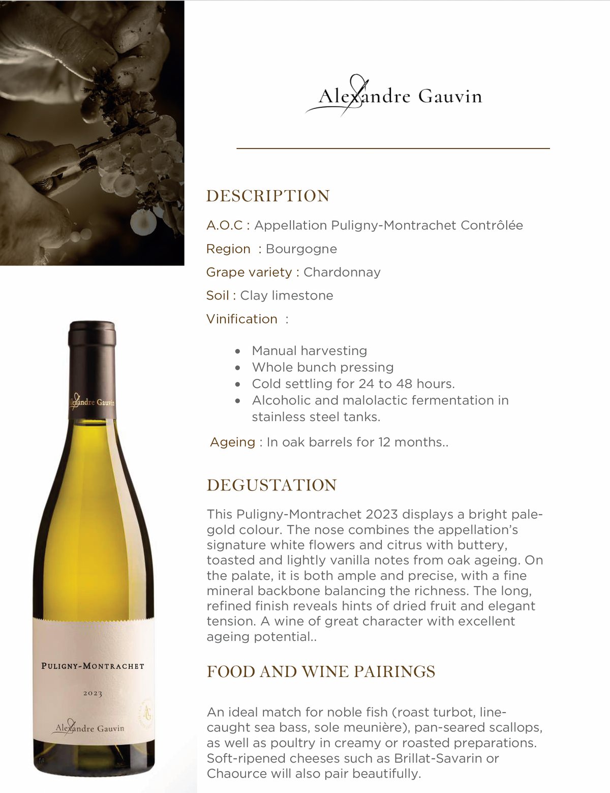 Alexandre Gauvin Puligny Montrachet 2023 Burgundy