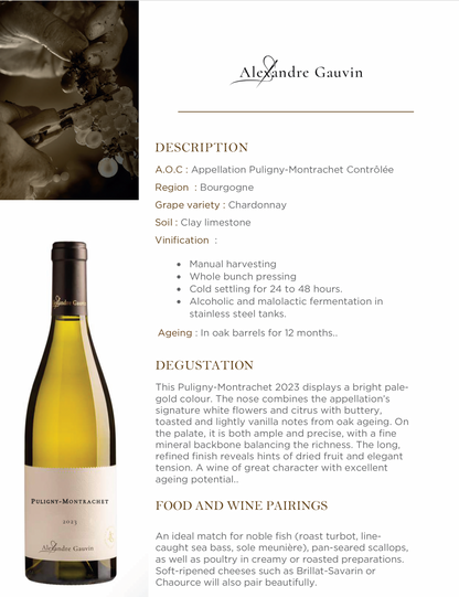 Alexandre Gauvin Puligny Montrachet 2023 Burgundy
