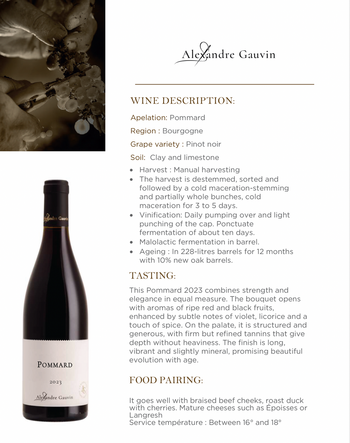 Alexandre Gauvin Pommard 2023