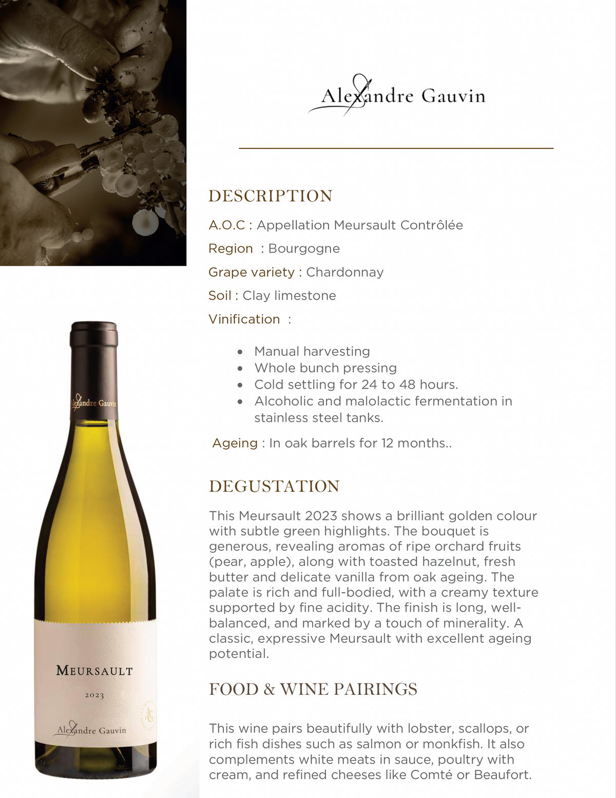 Alexandre Gauvin Meursault 2023 Burgundy